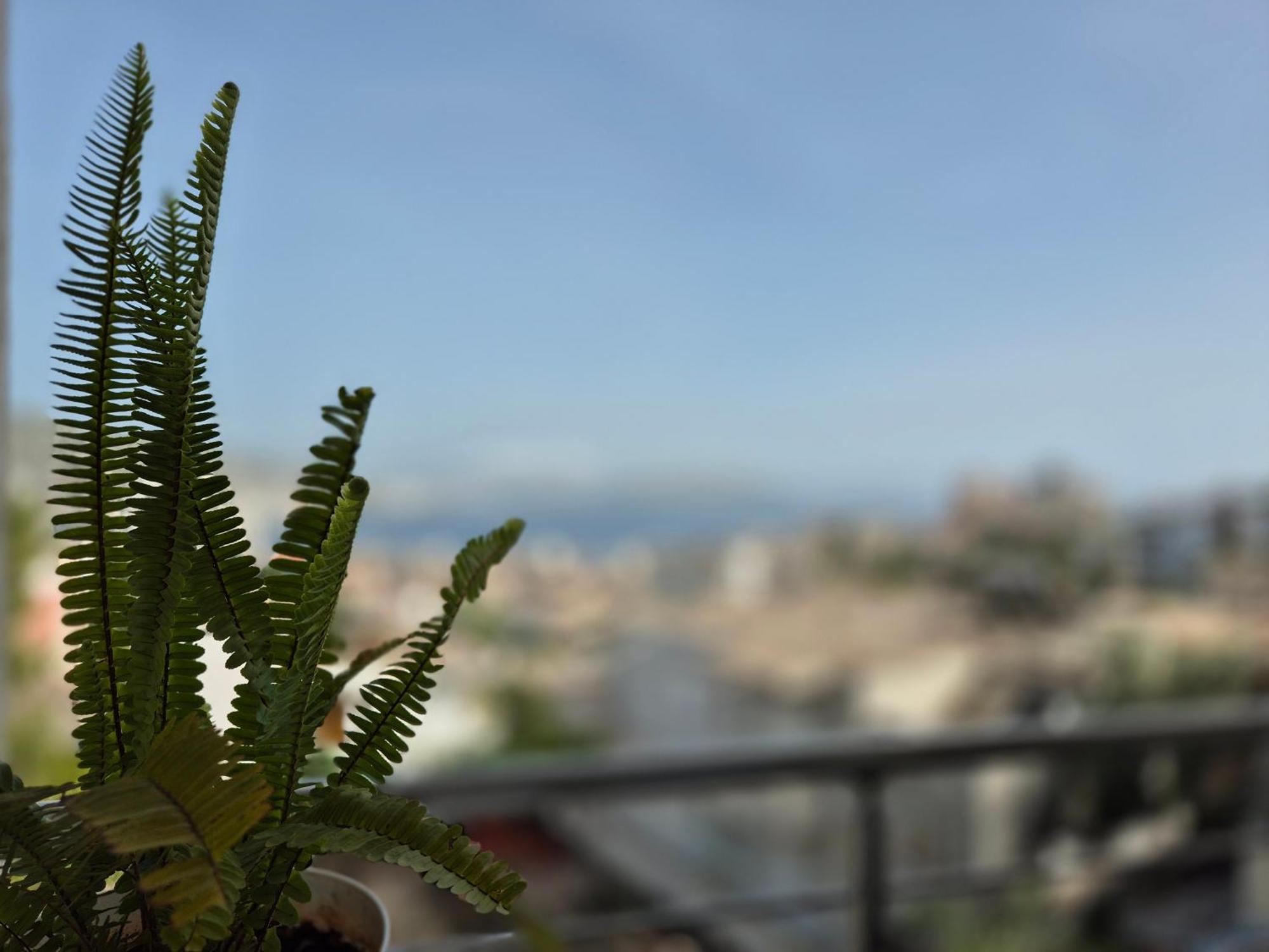 Vila Roxhest Sarandë 外观 照片